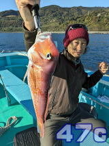 アマダイ(アカアマダイ)