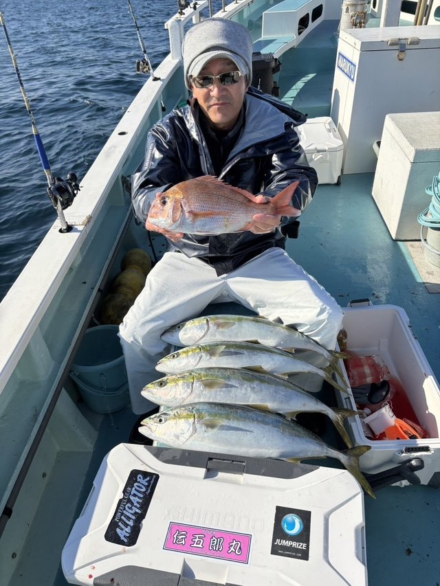 マダイ・ワラサ(ブリ)