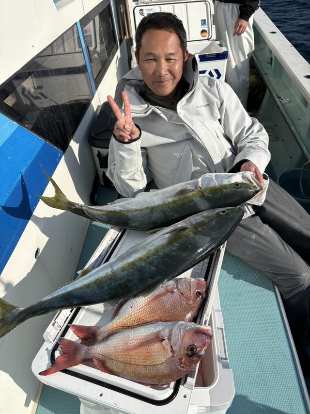 マダイ・ワラサ(ブリ)