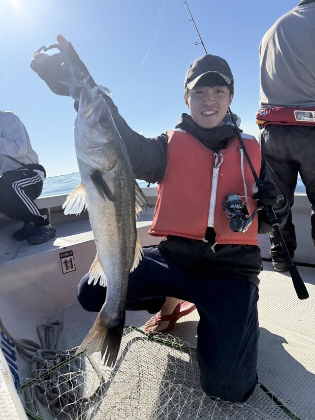 シーバス(スズキ)