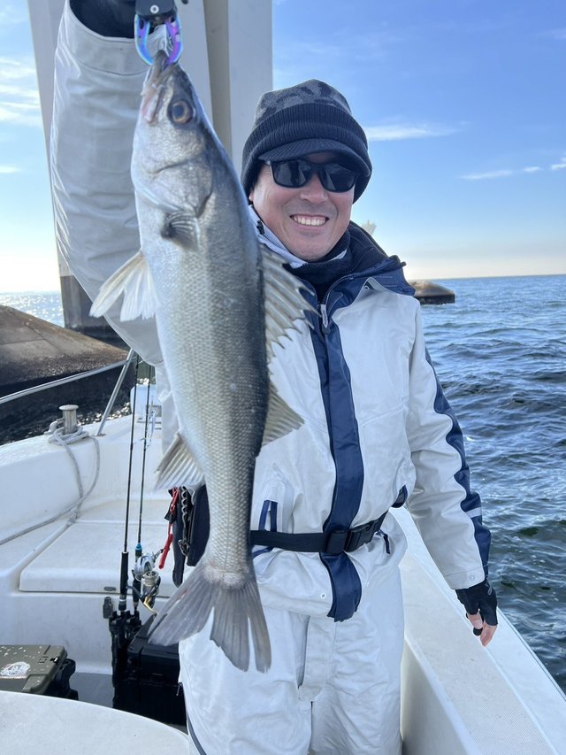 シーバス(スズキ)