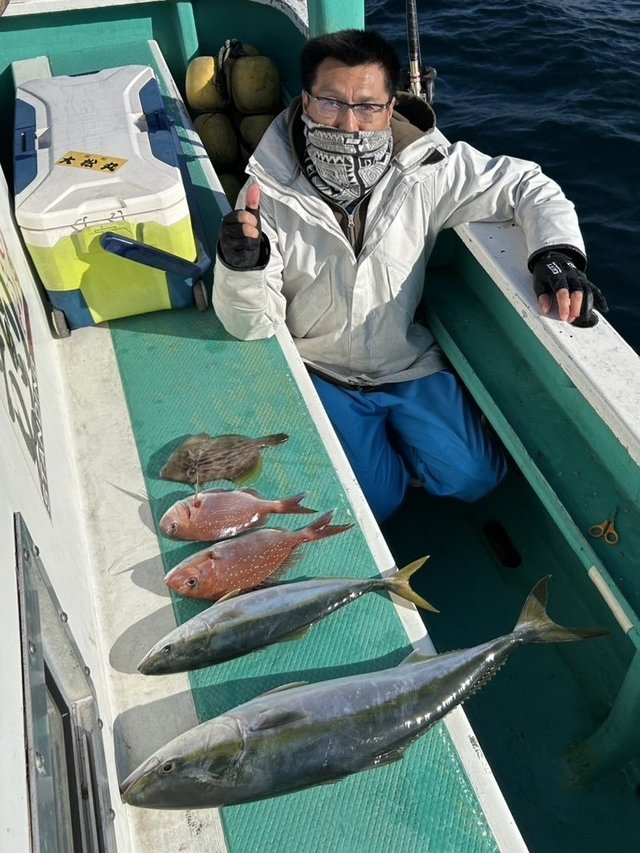 マダイ・ワラサ(ブリ)