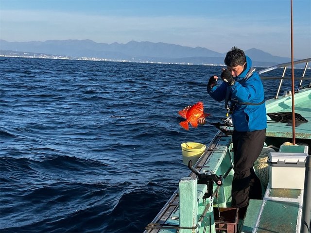 チカメキントキ