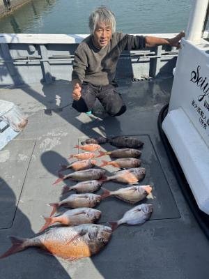 マダイ・コダイ(マダイ)・マハタ