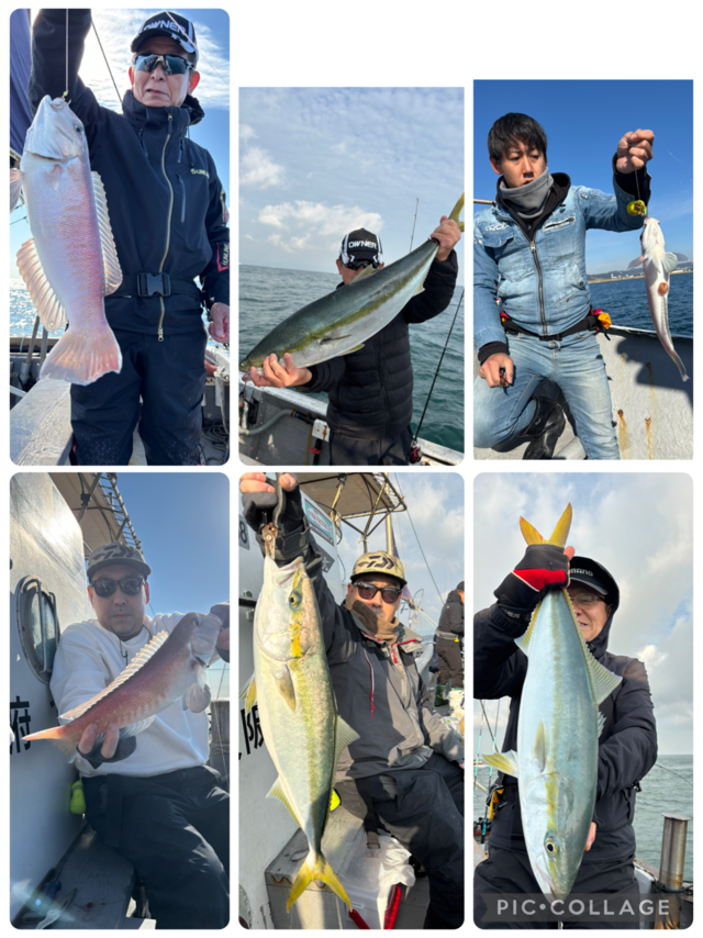 ブリ・メジロ(ブリ)・シロアマダイ