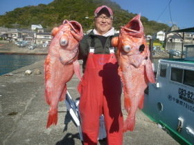 ベニアコウ(オオサガ)