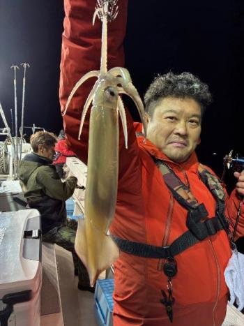 スルメ(スルメイカ)