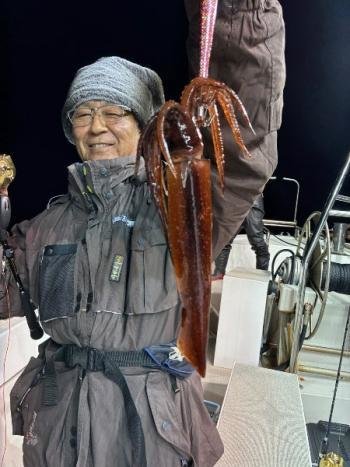 スルメ(スルメイカ)