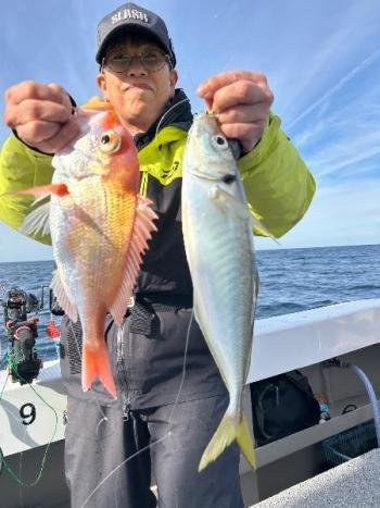 レンコダイ(キダイ)・マアジ