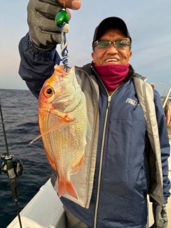 レンコダイ(キダイ)