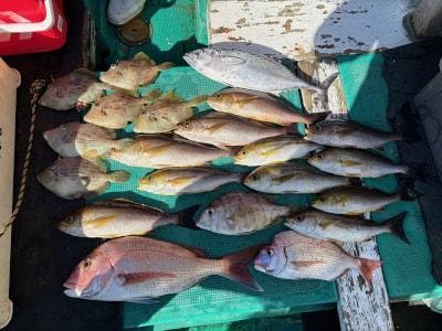 マダイ・イサギ(イサキ)