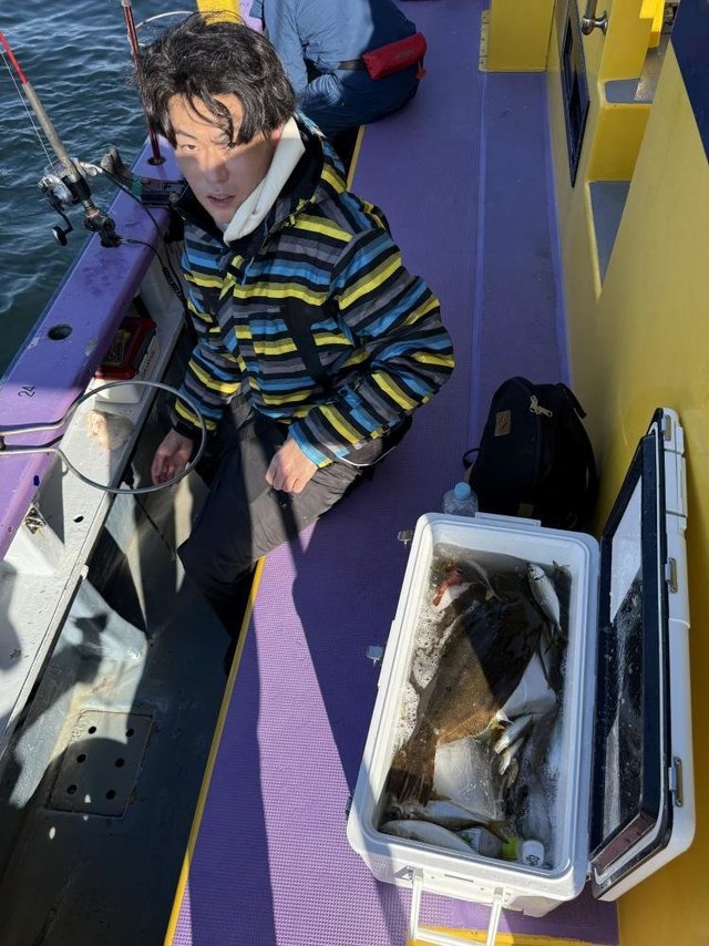 アジ(マアジ)・ヒラメ