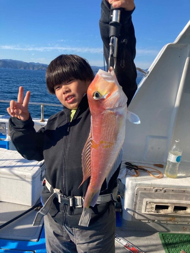 アマダイ(アカアマダイ)