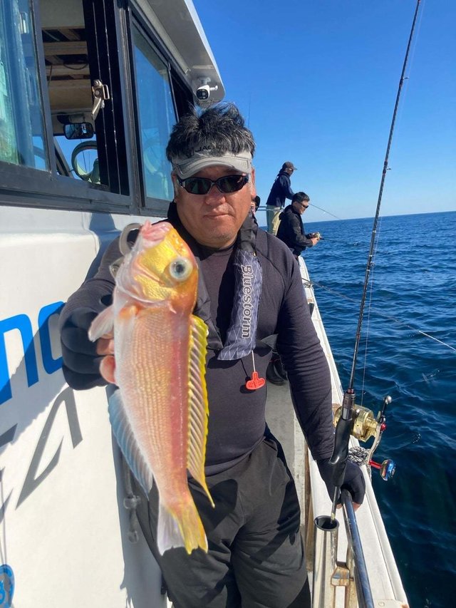 アマダイ(アカアマダイ)