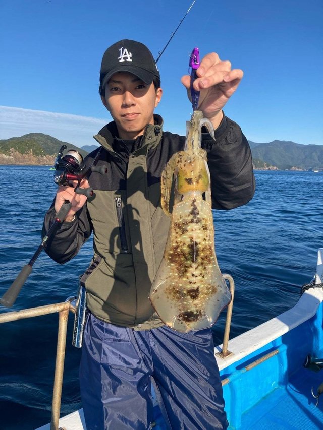 アオリ(アオリイカ)