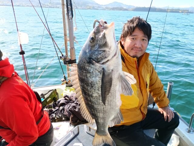 チヌ(クロダイ)