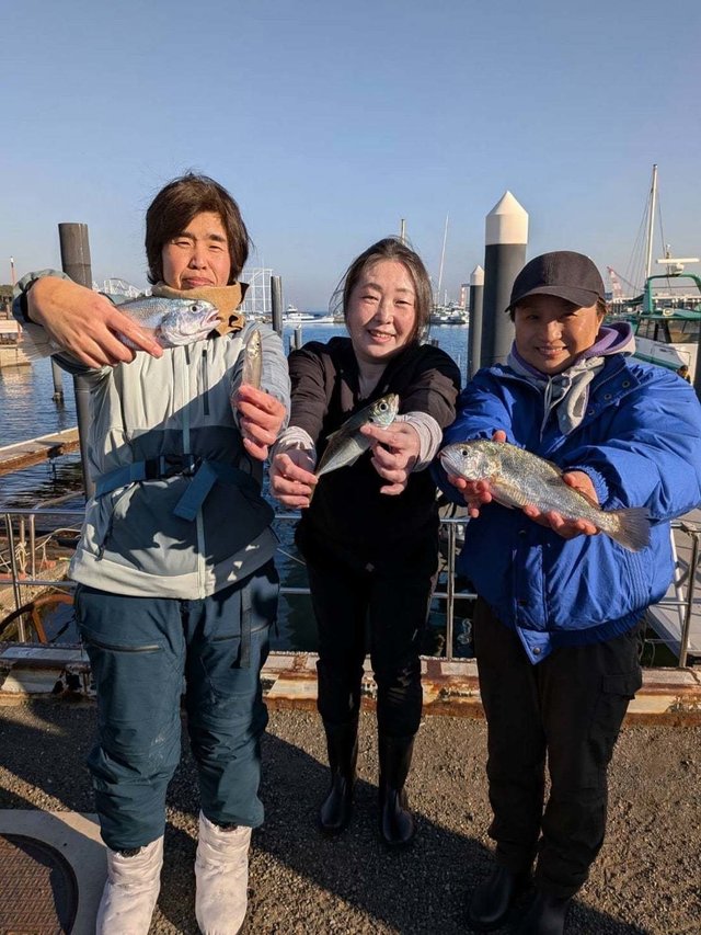 アジ(マアジ)・イシモチ(シログチ)