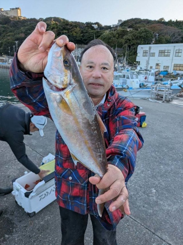 シオ(カンパチ)