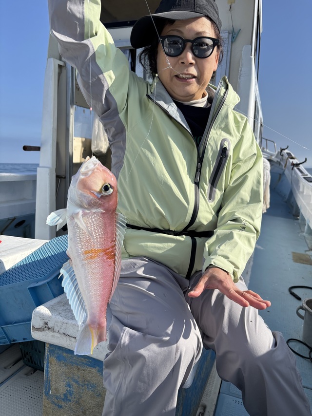 アマダイ(アカアマダイ)