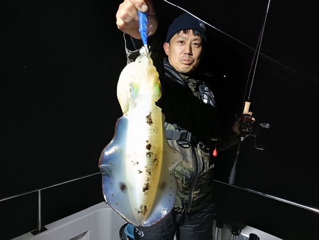 アオリイカ