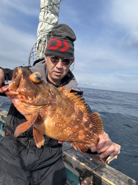 ウッカリカサゴ