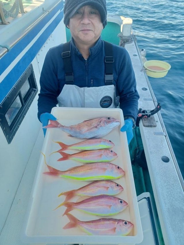 マダイ・イトヨリ(イトヨリダイ)