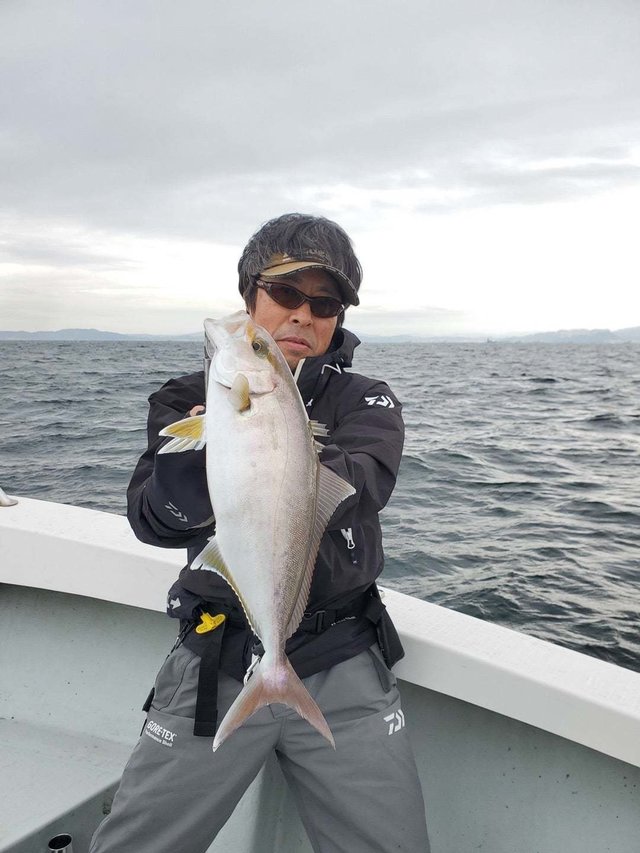 ショゴ(カンパチ)