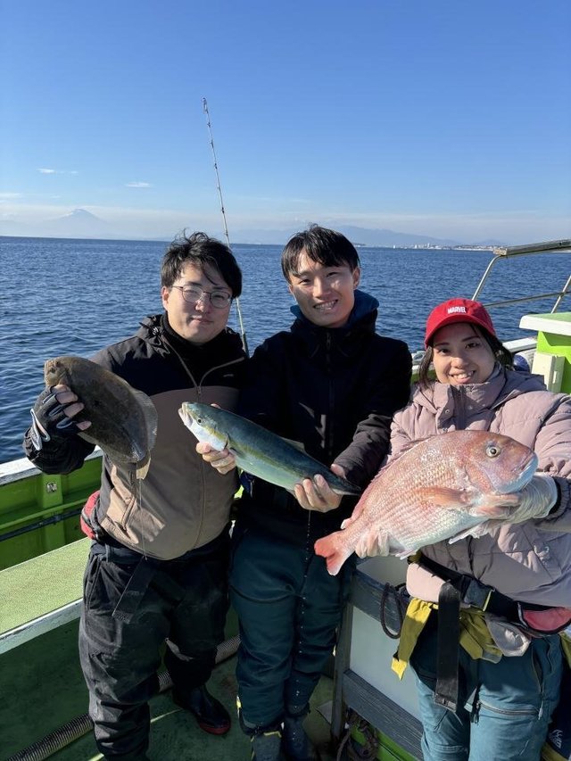 マダイ・イナダ(ブリ)・ヒラメ