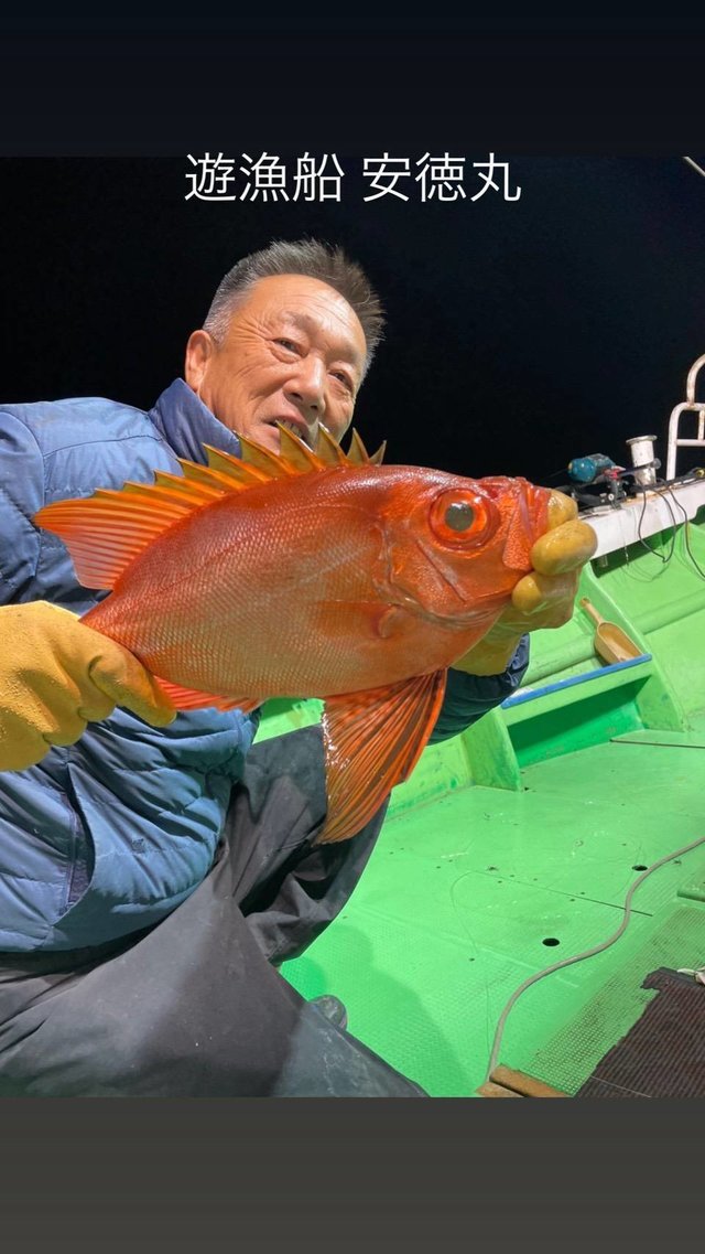 キントキ(チカメキントキ)