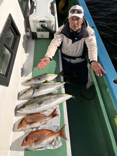 マダイ・アジ(マアジ)