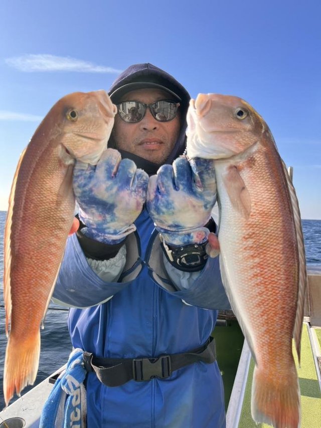 アマダイ(アカアマダイ)