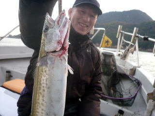 サゴシ(サワラ)