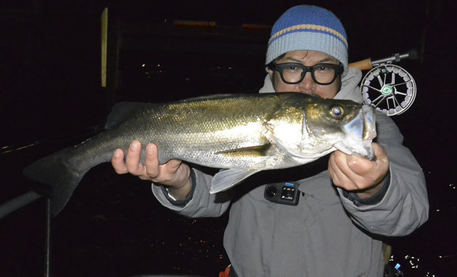 シーバス(スズキ)