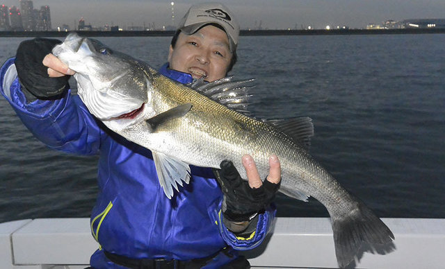 シーバス(スズキ)