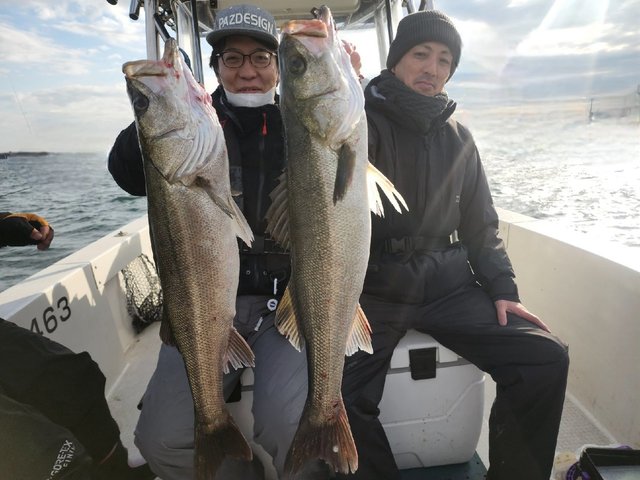 シーバス(スズキ)