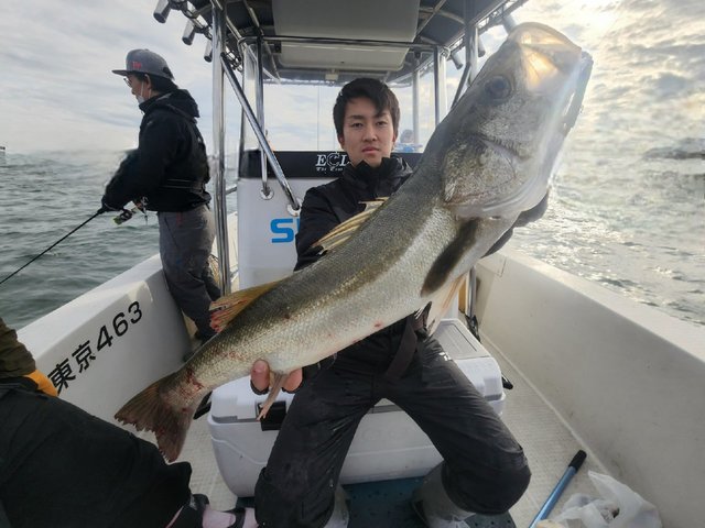 シーバス(スズキ)