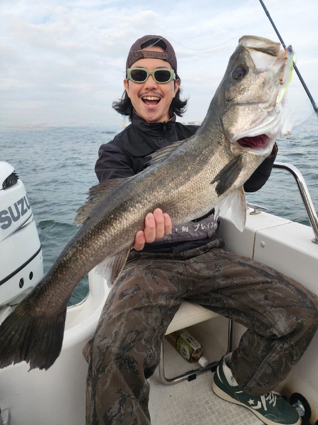 シーバス(スズキ)