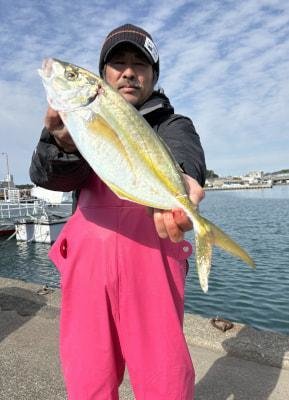 シマアジ
