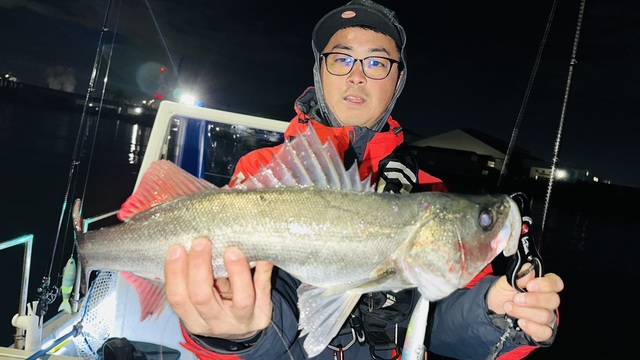 シーバス(スズキ)