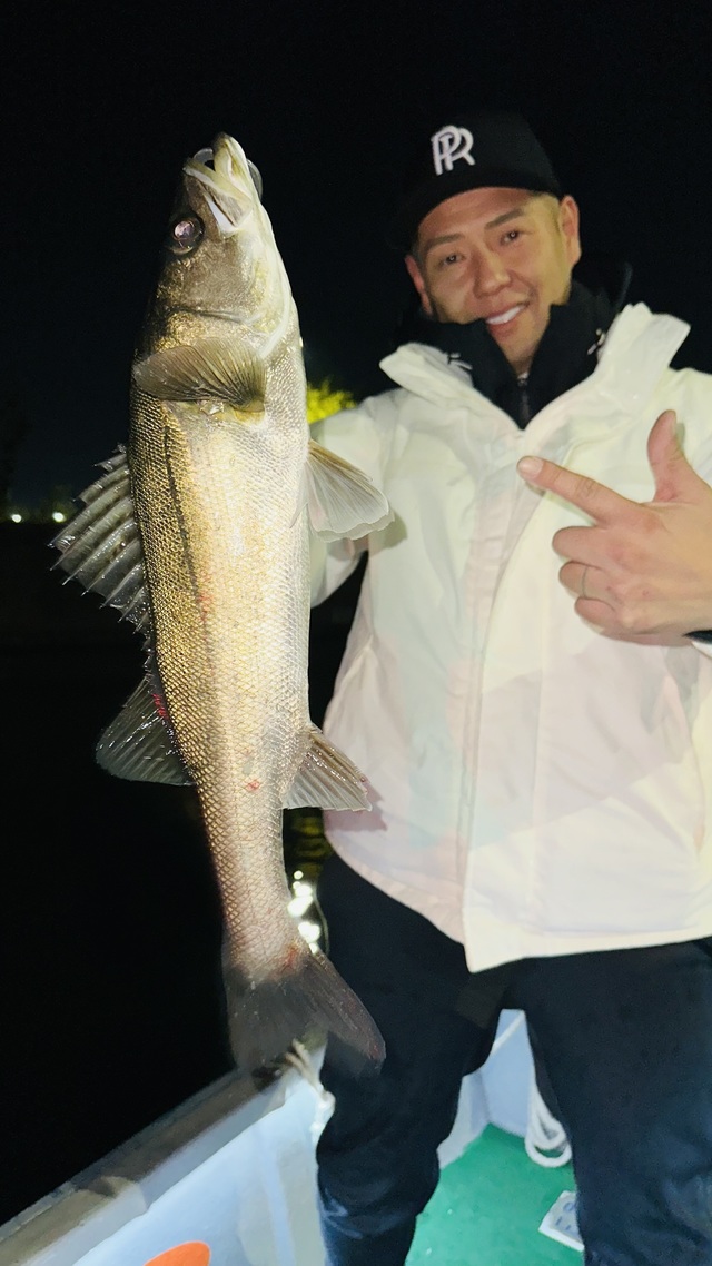 シーバス(スズキ)