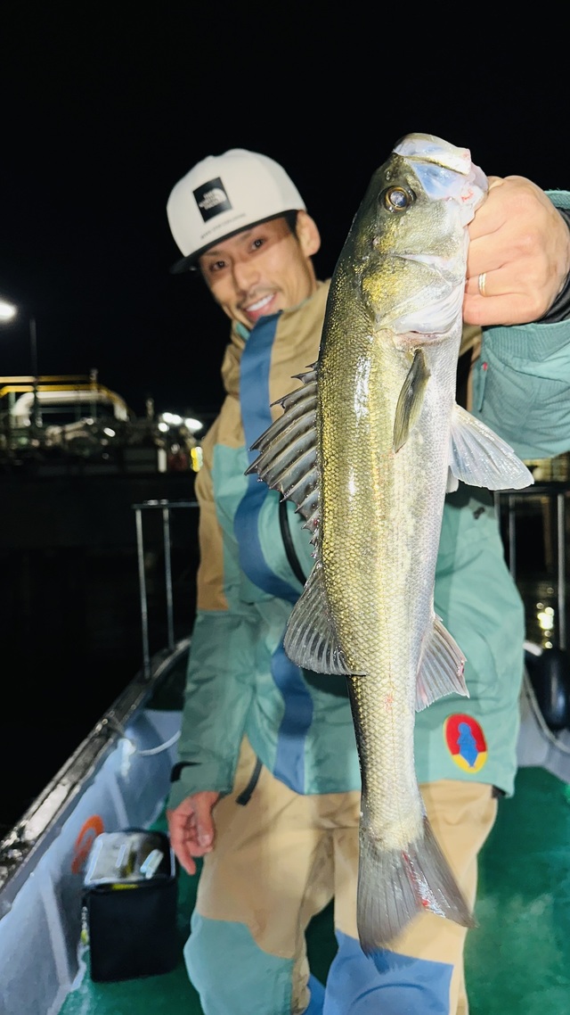 シーバス(スズキ)