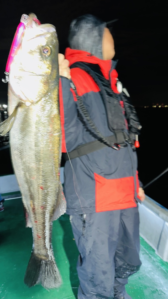 シーバス(スズキ)