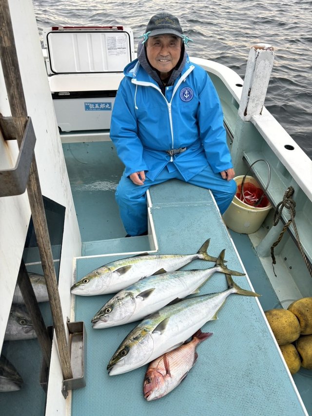 マダイ・ワラサ(ブリ)