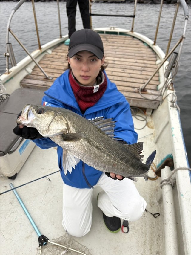 シーバス(スズキ)