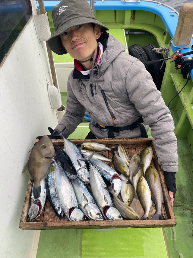 イサキ・ヒラソウダ・ウマヅラ(ウマヅラハギ)