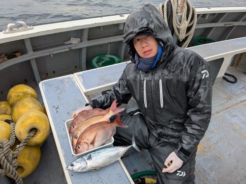 マダイ・ソーダガツオ(ヒラソウダ)