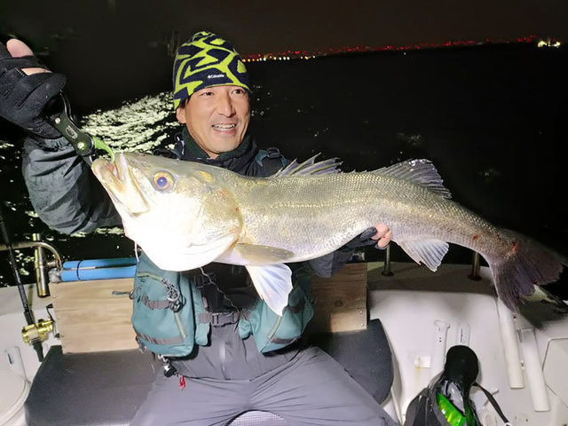 シーバス(スズキ)