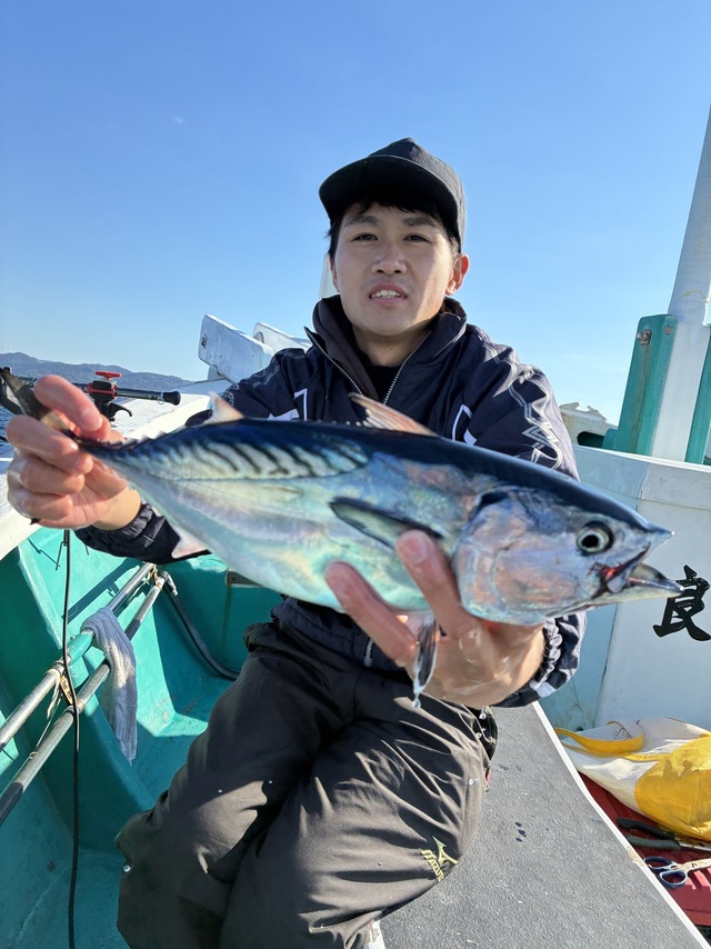 ヤイトガツオ(スマ)