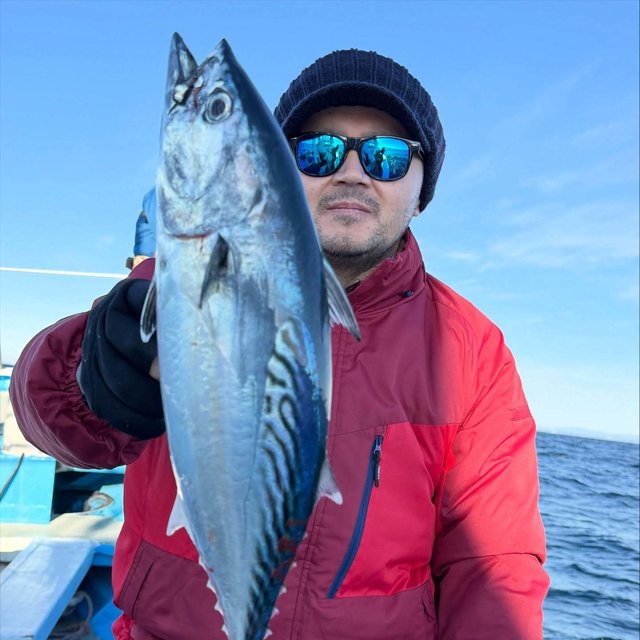 スマガツオ(スマ)