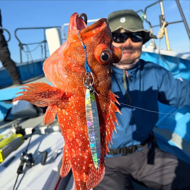 ウッカリカサゴ